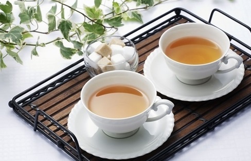 调节胃肠道健康仍是益生菌产品研发主流