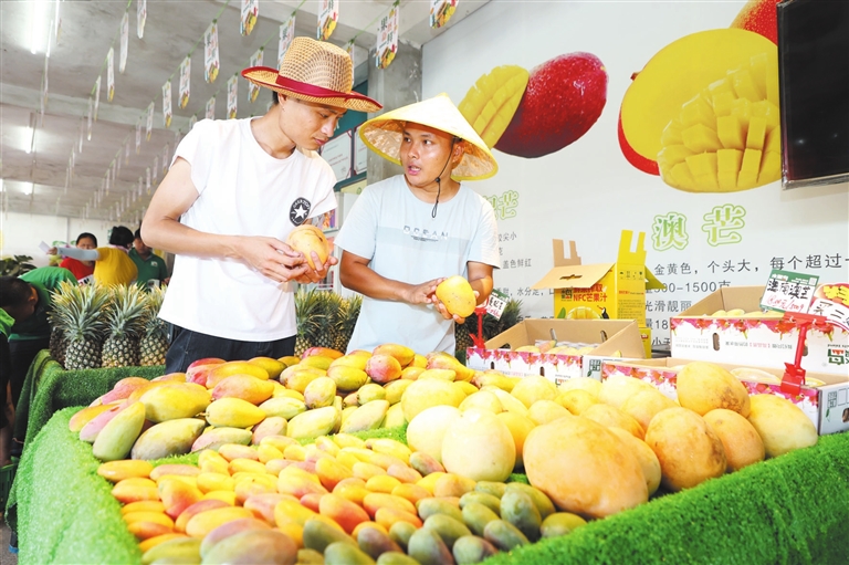 三亚盛夏的果实“邀”你来尝鲜