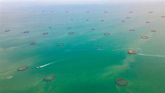 深海养殖 渔业升级