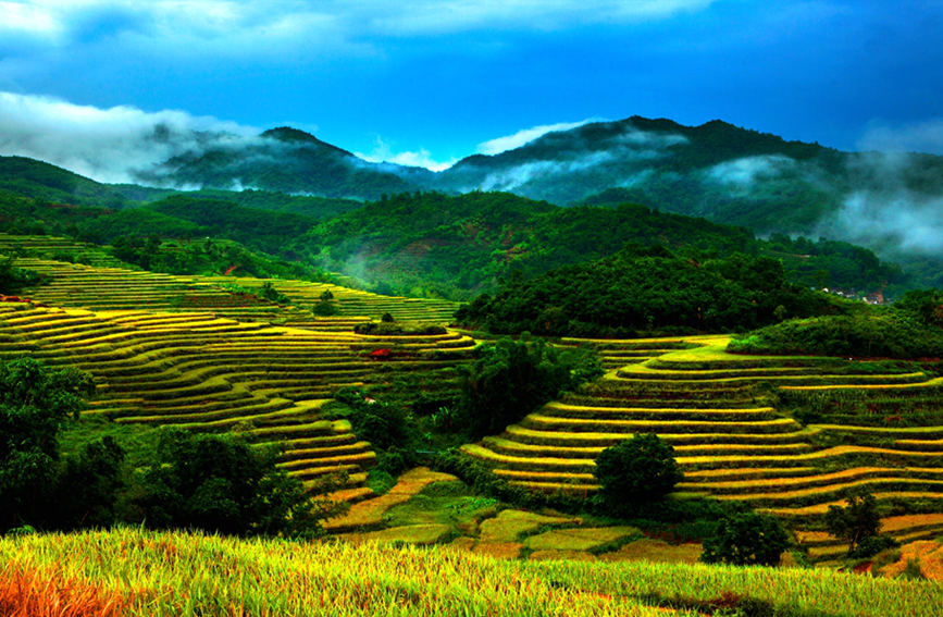 海南：美丽乡村入画来