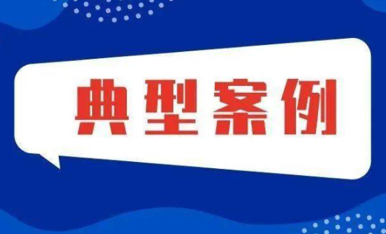 2021年海南省禁塑领域案件查办典型案例