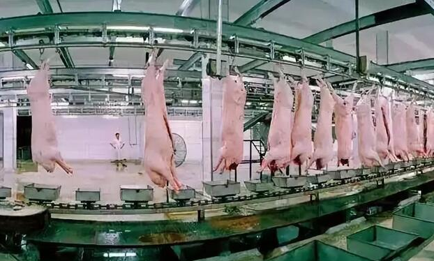 生猪屠宰标准化示范创建工作将深入开展
