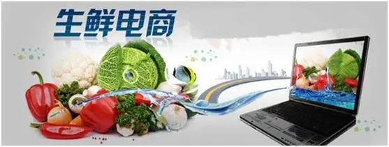 寻找新突破口 搭建创新平台 生鲜电商从C端消费进入预制菜赛道