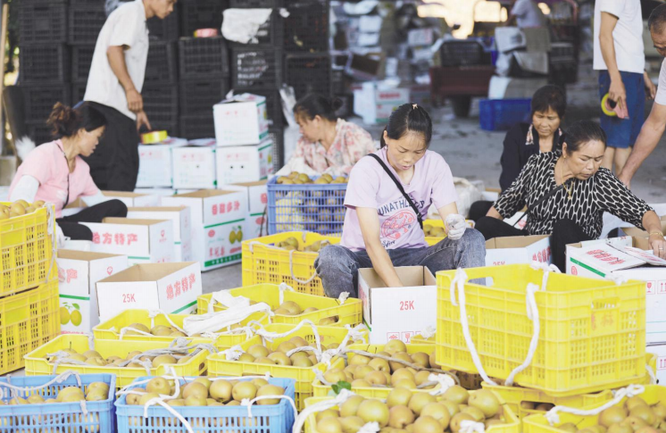 兴水果产业 促农民增收