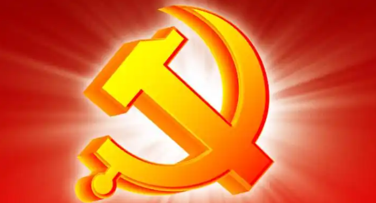 冯飞专题调研“在自贸港建设背景下充分发挥基层党组织战斗堡垒作用”工作