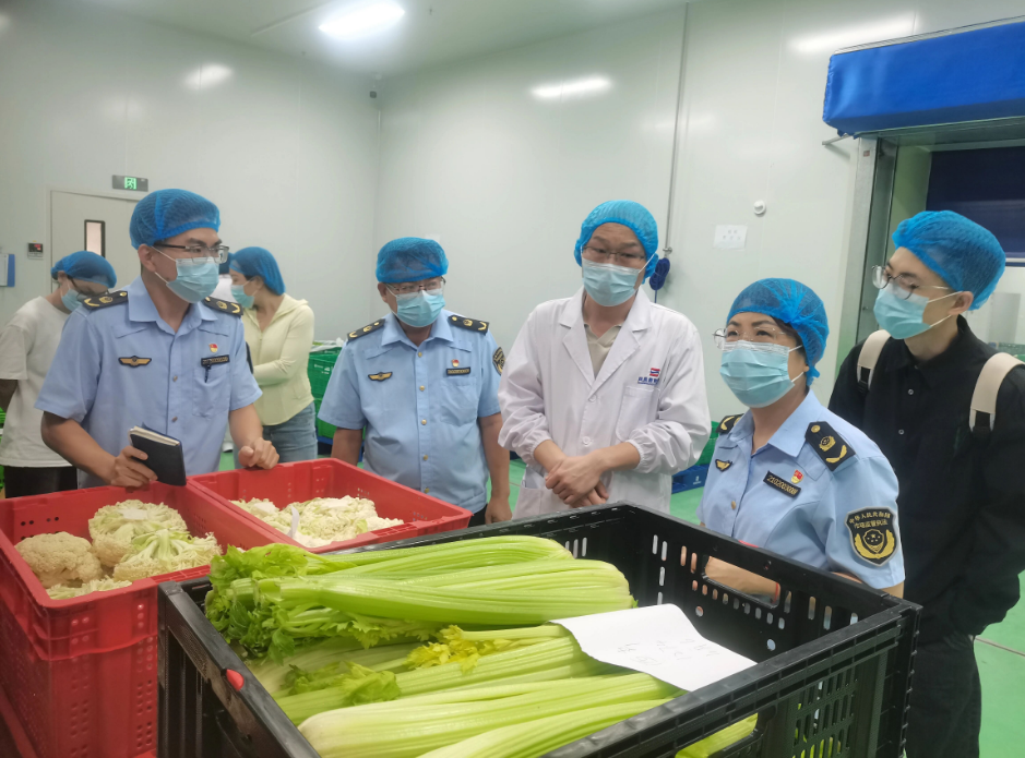 护航亚沙会 | 三亚市市场监管局开展净菜加工点全要素演练